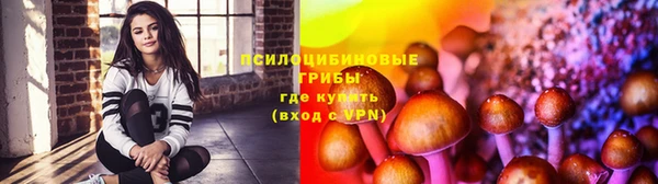 прущие крисы Армянск